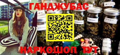 молекула духа Новозыбков