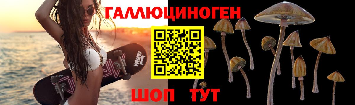 Спасск-Дальний  Псилоцибиновые грибы мухоморы  Псилоцибиновые грибы Psilocybine cubensis  Вход с VPN 